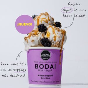 Helado vegano de coco, sin azúcar/ Bodai/ 400gr