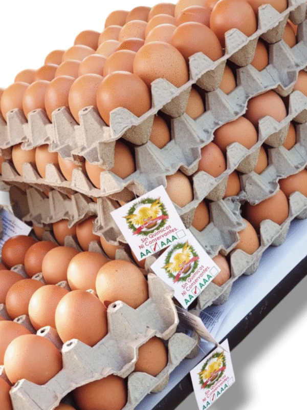 Huevos Orgánicos Doble AA / 30 und
