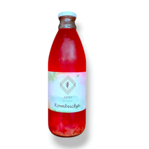 Kombucha Sandía menta / litro / bebida probiótica