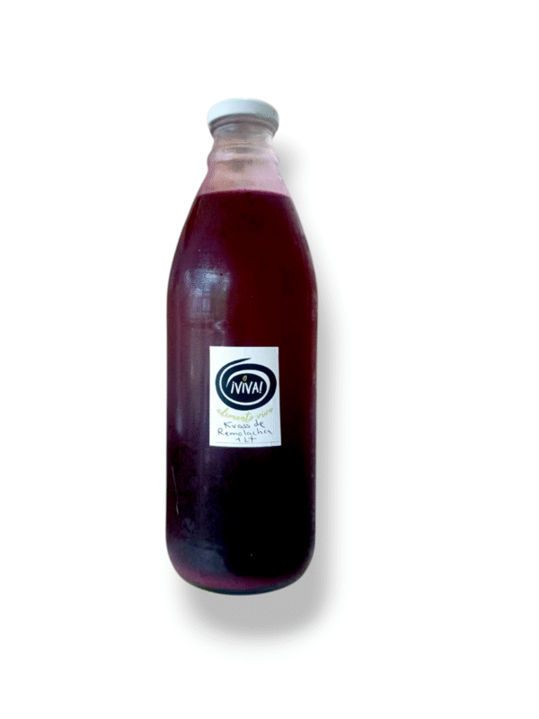 Kvass orgánico bebida probiótica desintoxicante/Litro