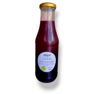 Kvass orgánico / Fermento de remolacha 250ml / bebida probiótica