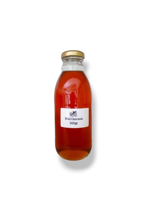 Miel cruda 500gr