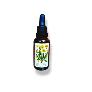 Tintura Diente de león 30ml / Limpia el hígado