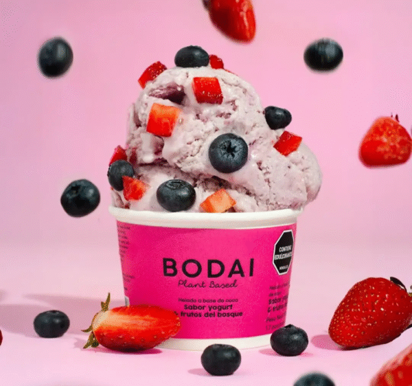 Helado vegano de frutos rojos, sin lácteos, sin azúcar/ Bodai / 80gr