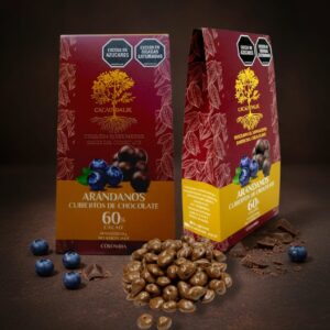 Arándanos cubiertos de cacao orgánico al 60% sin lácteos, sin soja, endulzado con panela 60gr