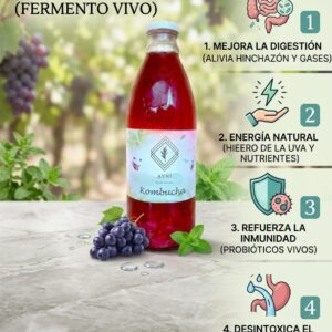 Kombucha Uva Hierbabuena / bebida probiótica / 1524 gr