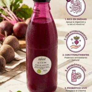 Kvass orgánico bebida probiótica desintoxicante/Litro / 1500 gr